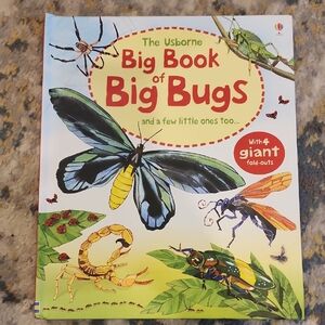 Usborne Big Book of Big Bugs